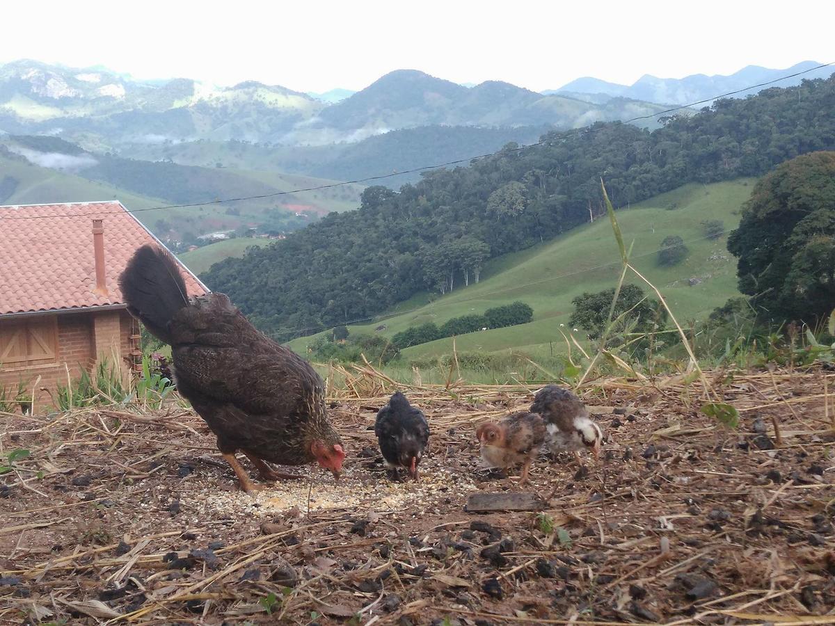 Reobote Chales São Bento do Sapucaí Buitenkant foto